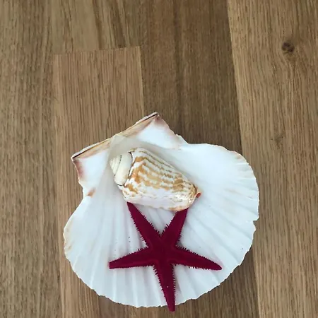 L' Acciuga Blu * Monte Marcello