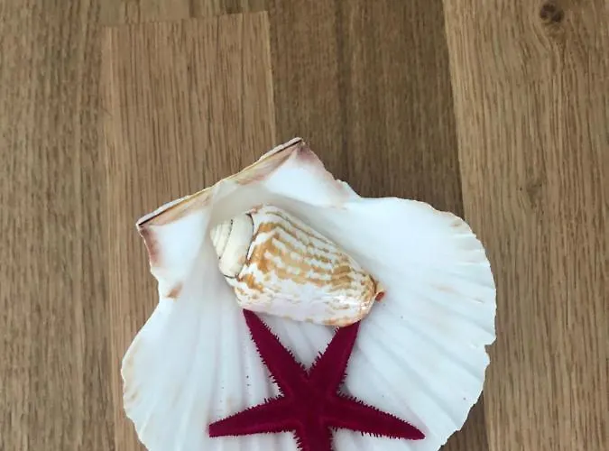 L' Acciuga Blu * 蒙特马塞洛