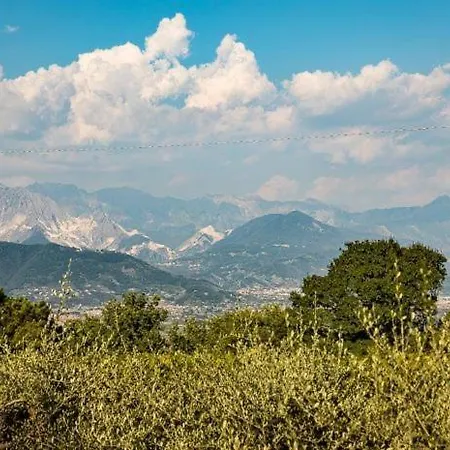 Chalet L' Acciuga Blu Montemarcello