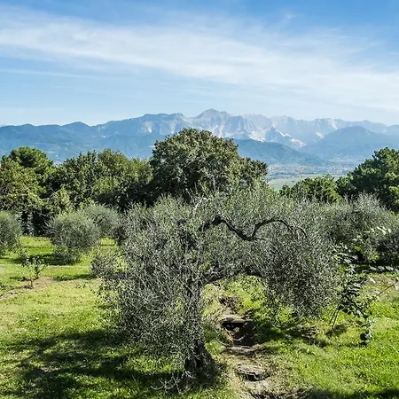 Chalet L' Acciuga Blu Montemarcello